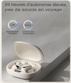 Ecouteur De Luxe Sans Fil Ultra Léger & Etanche ERAZER